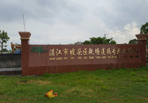 �ʼ�royal1688 - ����ź�۷�˿�����������Ѿ���տ����ź����������������