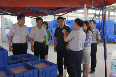 ͨ����**ݰ�ٻʼ�royal1688 - ����ʳ�﹫˾