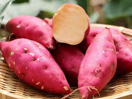 �����߲���Ӱ����������Щ����������������